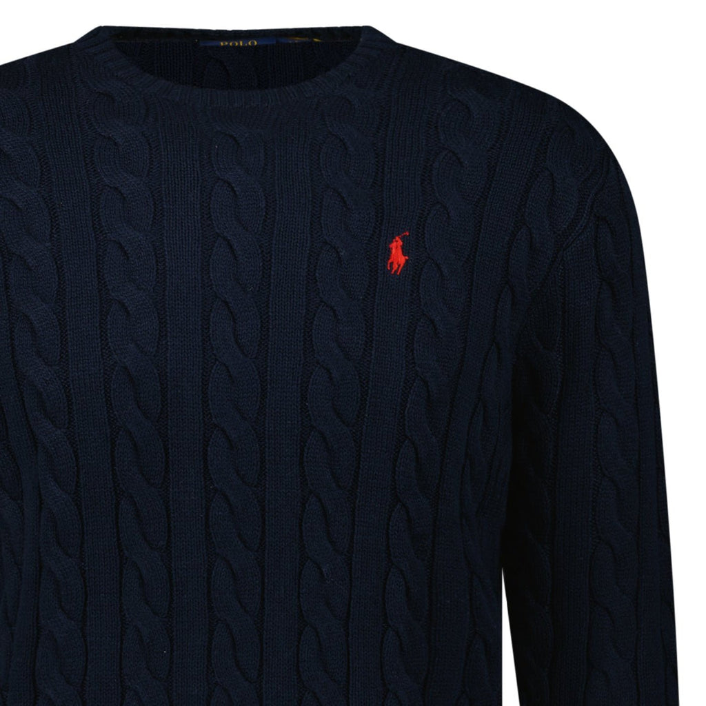 Polo Ralph Lauren Cable Knit Sweater in Navy