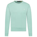 Polo Ralph Lauren Long Sleeve Sweatshirt in Celadon